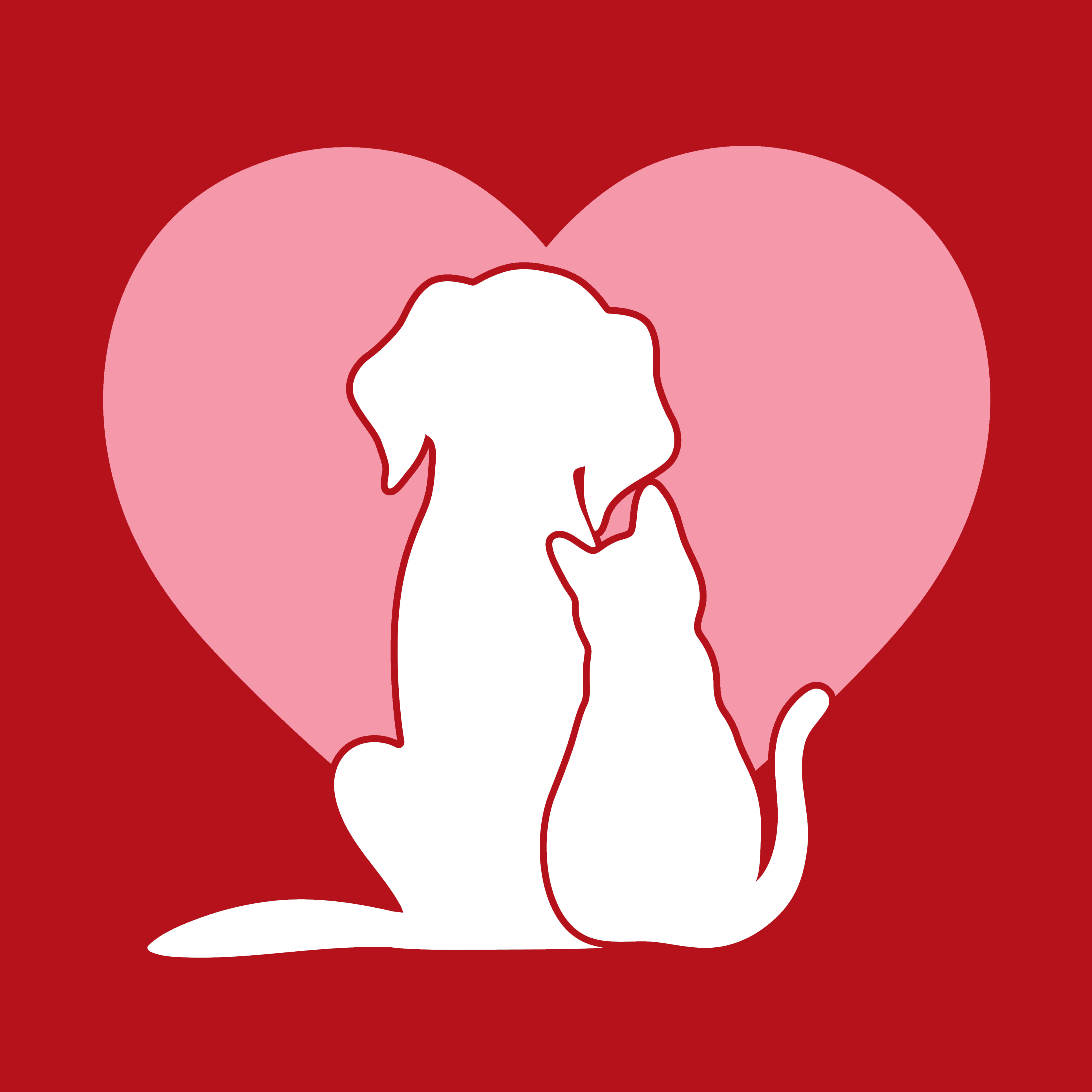 Chenango Spca - sjuufme